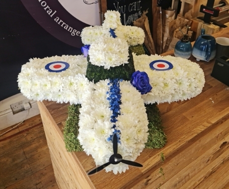RAF Plane Tribute